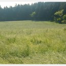 한라산둘레길 사려니숲길 이미지