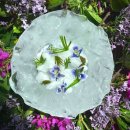 더 노마(The Noma) 이미지