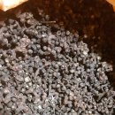 여주-1123 이미지