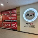 라피에스타 PC 이미지