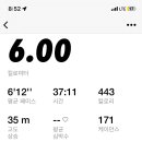 모과의시간