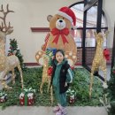 스프링폴 | 데이트 장소 추천 주말 아이와 함께 가볼만한 곳 신북온천스프링폴 온천 이용 꿀팁 크리스마스 연말 후기