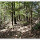 포항상생숲길 이미지