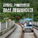 구절리역 | 강원도 정선 가볼만한곳 레일바이크 주의사항과 맛집