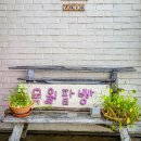 미조 공설운동장(천연잔디) | 구례 여행에서 발견한 빵 맛집 목월빵집