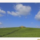 천북농장 이미지