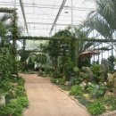 구덕문화공원 이미지