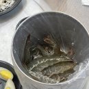 새우까는집 이미지