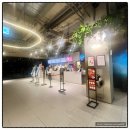 CGV 부천옥길 : 초등학생 딸과 함께 위키드 솔직후기!