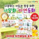 자연동화 이미지