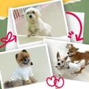 (주)바우라움 수원 캠퍼스 이미지