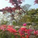 동해의아침펜션 이미지