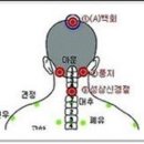 백회(百會) – 위하수를 치료하는 영험혈 이미지