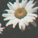여전히;그날