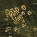 유린원광노인요양원 이미지