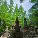 성남다목적체육관 앞 이미지