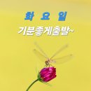 불꽃 놀이 신나고 재미있는 묘기ㅡ내몸이 재산이다 AI 노래ㅡ능금빛 순정 마이진 노래ㅡ 갈대에 순정 금소연 노래ㅡ 날버린 남자 천 가연 이미지