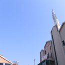 고양대로 695번길 이미지