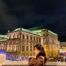 피그트램 | 오스트리아 빈 물가 비자 공연 비엔나 여행 코스 풍향고2 맛집 카페