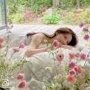 [웨딩 헤어] 신부님들의 인스타그램, 애브뉴준오 박효심 부원장