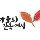 비아5일시장1 이미지