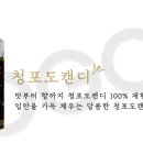 시가82 이미지