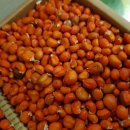 사철슈퍼 이미지