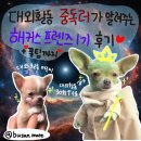 프렌즈어학원 | 해커스 프렌즈 1기 활동후기 대외활동 추천