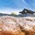 주식회사 리드유어트립 이미지