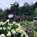 용주전자 | 합천 카라반 솔솔리조트 후기 (물놀이장·수국까지, 아이랑 여름 숙소 추천)