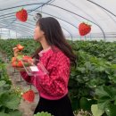 한사랑농장 이미지