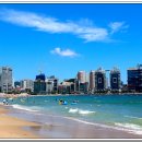 민락산곰장어 이미지