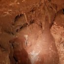 천곡황금박쥐동굴 이미지