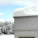 간성초등학교 이미지