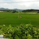 귀향 | 귀향 생활, 시골에서 사용하기 편한 생활한복 저고리 상의 후기(웨이유 개량한복 6개월 사용)