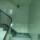 원신흥동 흥도초등학교 버스정류장 이미지