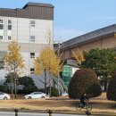 모산초등학교 맞은편, 원메이저 푸르지오 앞 | 경남 김해 임장 (23.11.26)