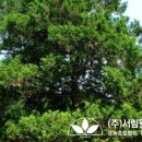 (주)그린서림 이미지