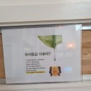 리즈벤자롱아로마테라피