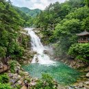 동양정비주 | 국내 폭포 명소 직접 다녀온 BEST 10 후기 (입장료 총정리)