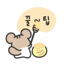 세도나제주풀빌라 민박 네이버블로그