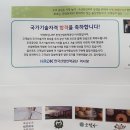 미용사 (일반, 네일, 메이크업) 면허증 발급 - 용인 기흥구청 / 건강진단서 - 용인 정내과 건강검진 후기