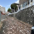 양등1 | 대구 수성구 미들급 오마카세 스시노토시! 솔직 후기, 주차 정보