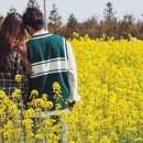 유채네일 이미지