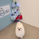 포도미용실 이미지