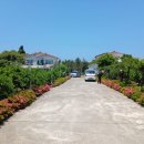 표선면-5 이미지