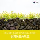 담양동초등학교 이미지