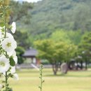 진도 남종화의 산실 운림산방 이미지