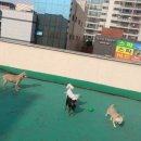 나로동물병원 이미지