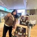 베가스 | 혼자 해외 이동봉사 후기 [베가스편]